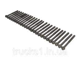 Без названия (1)