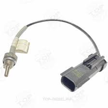 Без названия (2)