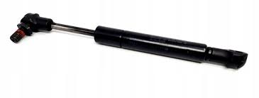 Без названия (12)