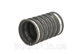 Без названия (19)