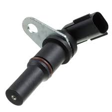 Без названия (14)