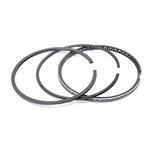 Без названия (15)