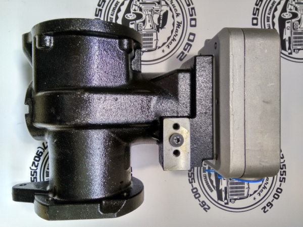 IMG_20170417_112541_HDR